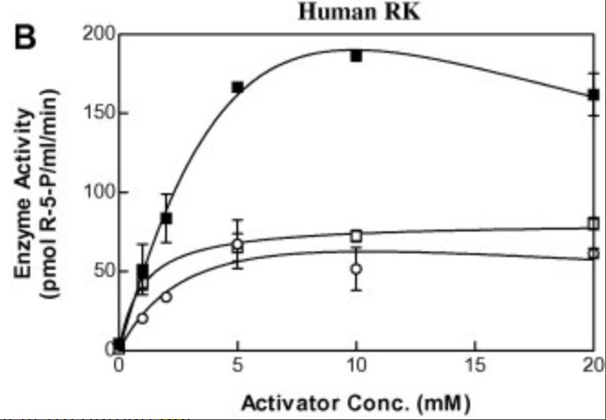 Effects of various AK activators on the activity of human ribokinase.jpg